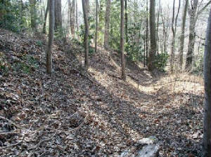  Civil War Battle of Asheville Earthworks.jpg