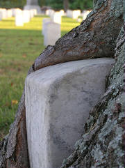Cold Harbor Cemetery Battlefield Grave.jpg