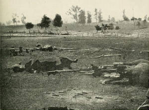 Dead horses on the Civil War battlefield.jpg