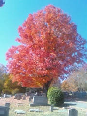 Green Hill Cemetery.jpg