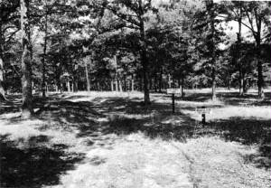 Sunken Road Bloody Pond.jpg