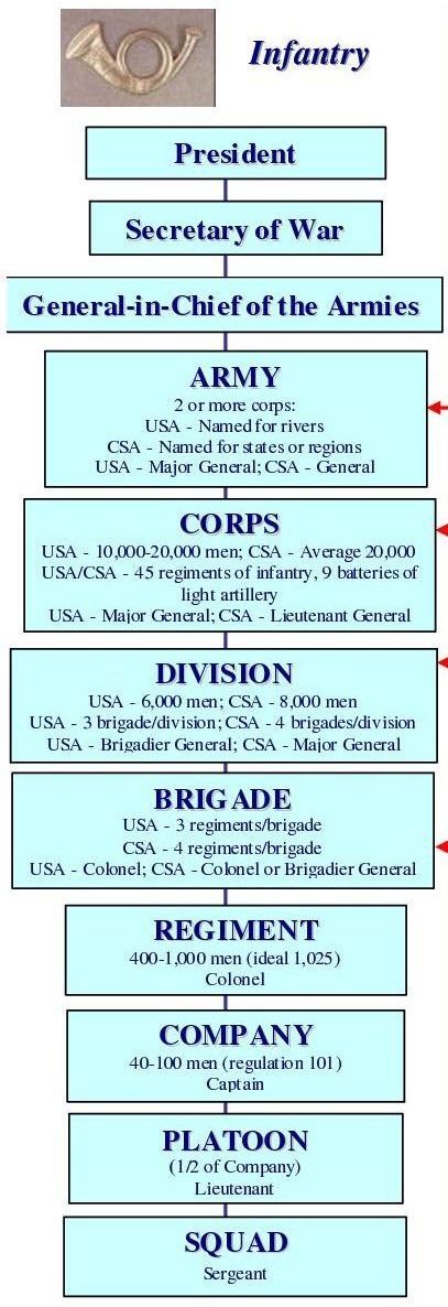 Civil War Army and Infantry Structure.jpg