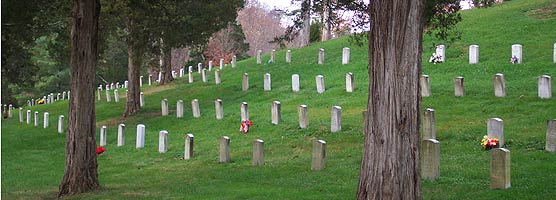 President Andrew Johnson National Cemetery.jpg