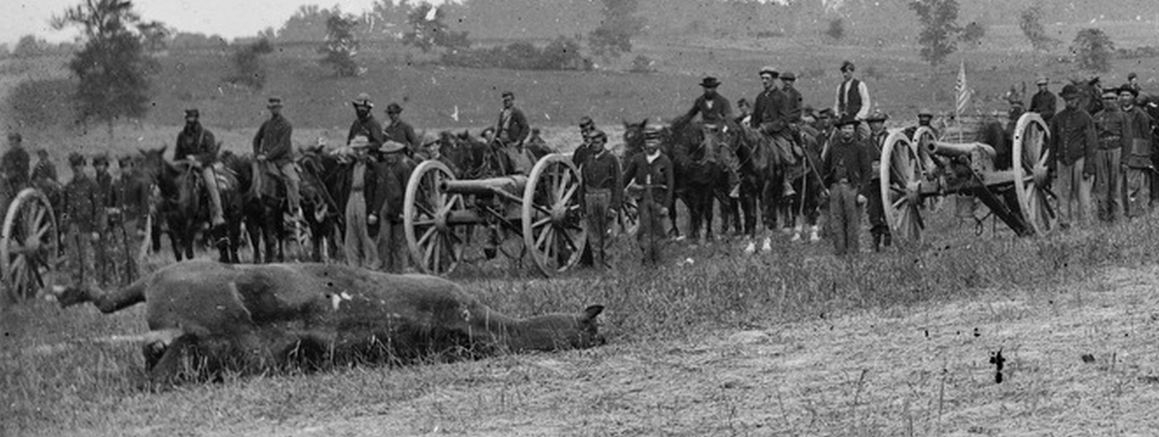 Dead Horse on Civil War Battlefield.jpg