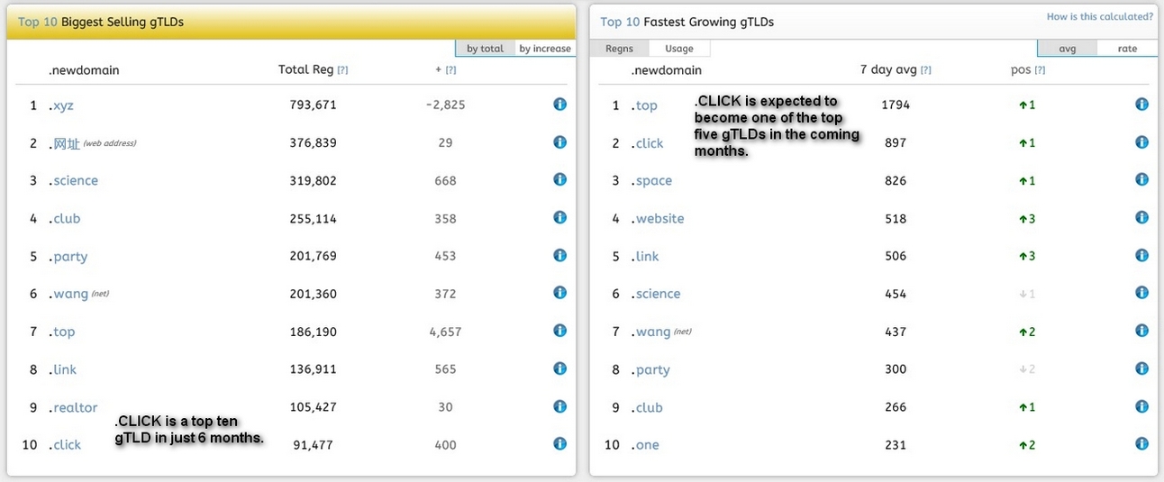 Fastest growing new Internet domains.jpg