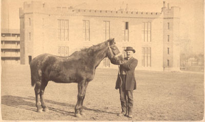 Civil War Horse.jpg