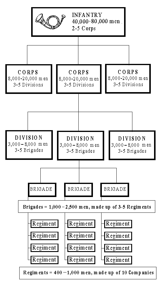 Civil War Infantry Organization.gif