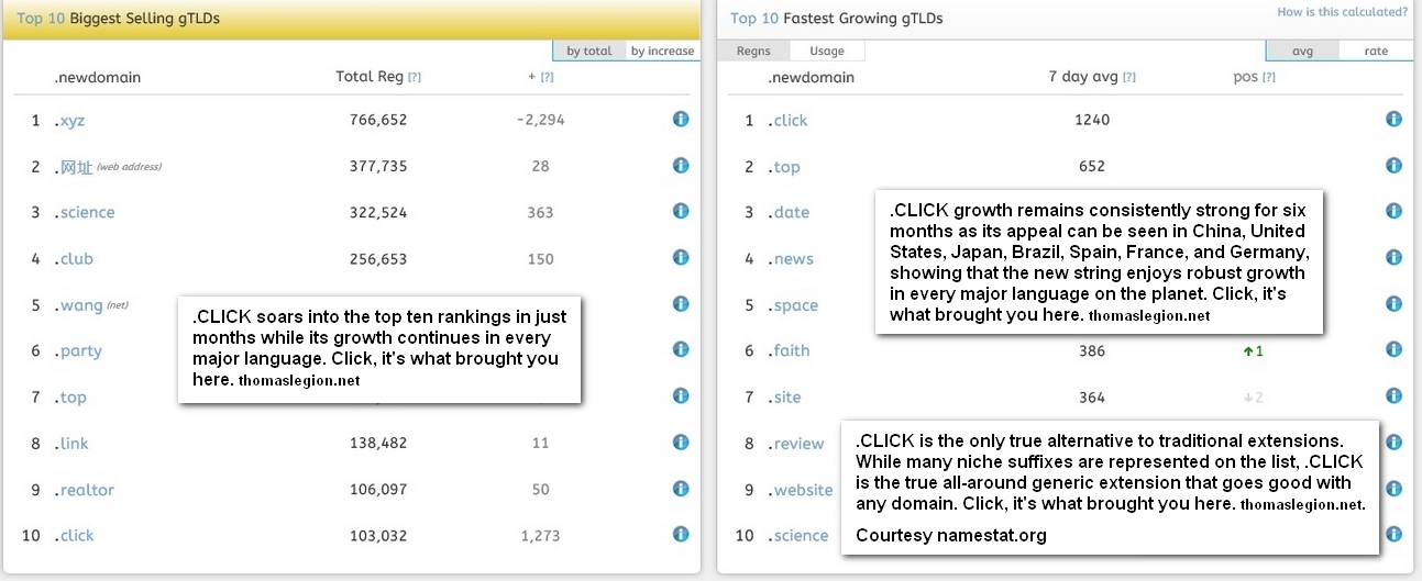 Fastest growing Domain Names.jpg