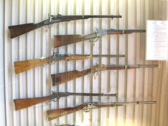 Carbines and Handguns.jpg