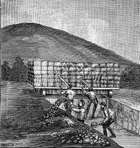 Union Soldiers and Confederate Fortifications.jpg