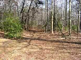 Mountain Road Wounding of Stonewall Jackson.jpg