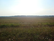 Pickett's Charge Battlefield.jpg