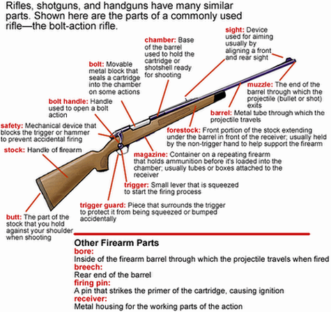 Parts of a Rifle.gif