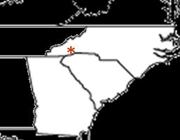 Walton War Map.jpg